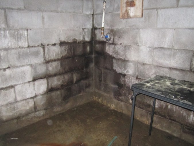 Now isnt' that just lovely?