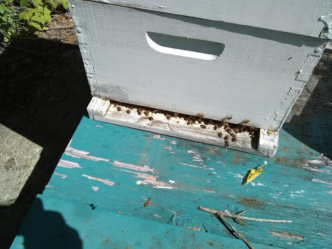 IMG_20180720_105618698